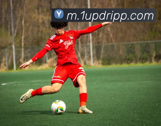 企业概况